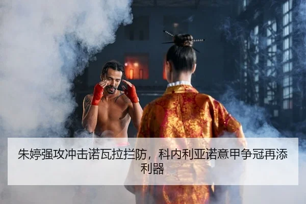 zhu-ting-qiang-gong-chong-ji-nuo-wa-la-lan-fang-ke-nei-li-ya-nuo-yi-jia-zheng-guan-zai-tian-li-qi-2-233.jpg